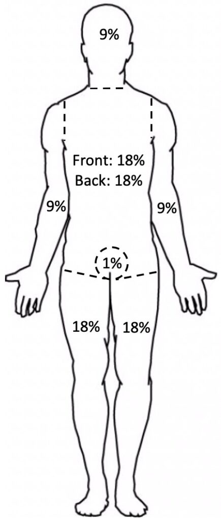 Burns - The Operative Review Of Surgery